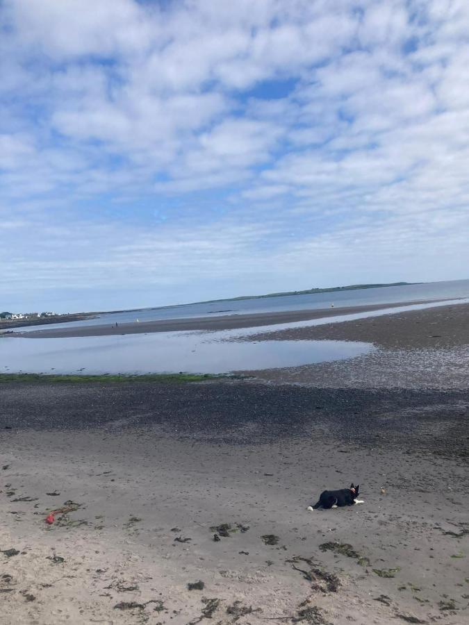 5 Shore Street Donaghadee المظهر الخارجي الصورة